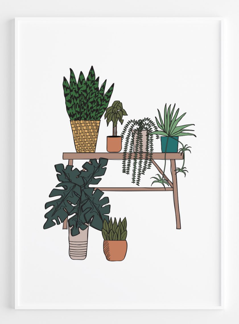 Garden Plants A2 Framed Poster